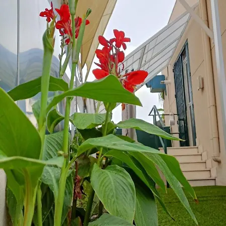 Solarium Km21 Апартаменты